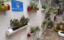 Độc đáo công trình thanh niên: "Biến điểm tập kết rác thành vườn hoa"