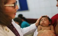 Virus Zika có thể nhân bản trong não trẻ
