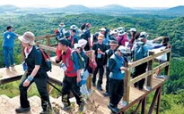 Tìm thêm 9 người Việt “mất tích” trên đảo Cheju, Hàn Quốc