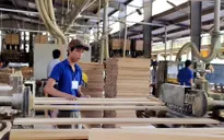 Xuất khẩu gỗ sang Anh và EU chưa bị ảnh hưởng bởi Brexit