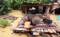 Rơi nước mắt với hình ảnh miền Trung oằn mình chống lũ