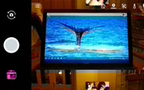 Google Pixel và Pixel XL gặp sự cố camera sau
