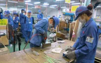 Muốn khởi nghiệp thành công, giới trẻ phải bắt đầu như thế nào?