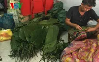 Việt kiều Vientiane và bánh chưng xanh