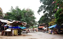 Vẻ đẹp bình dị của chợ quê làng cổ Đường Lâm