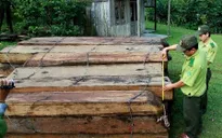 Phá rừng đặc dụng ở Hà Giang: Ai chịu trách nhiệm?