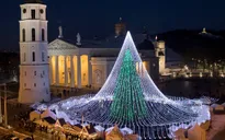 Chiêm ngưỡng những cây thông Noel rực rỡ nhất thế giới