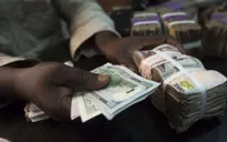 Ngân hàng Nigeria ngừng bán USD do "đói" ngoại tệ