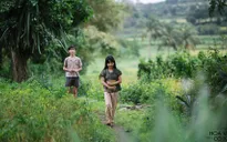 Tôi thấy hoa vàng trên cỏ xanh dự LHP tại Nhật Bản và Anh