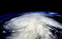 Nhờ Ai là triệu phú, El Nino bất ngờ trở thành từ khóa hot