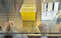Quỹ Bill & Melinda Gates tài trợ cho cuộc chiến chống virus Zika