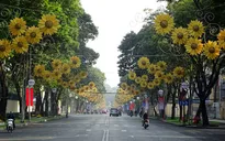 Đường phố Sài Gòn vắng vẻ sáng mùng 1 Tết