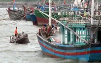 Hải Phòng di dời hơn 11.000 người đến nơi an toàn