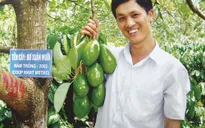 Học cách làm giàu từ "vua bơ" Tây Nguyên (17h20, VTV1)