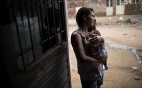 Brazil "căng mình" đối phó virus Zika gây teo não ở trẻ nhỏ