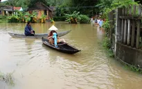 Trung ương Hội Chữ thập đỏ Việt Nam cứu trợ vùng lũ