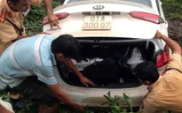 Chở thuốc lá lậu, ô tô đâm chết người rồi bỏ chạy
