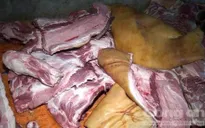 Đăk Lăk: “Phù phép” heo nái thành heo rừng