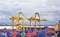 Cảng Đà Nẵng rút ngắn thời gian giao nhận hàng hóa XNK đã thông quan