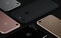 Apple tăng số đơn hàng linh kiện sản xuất iPhone 7, 7 Plus cho quý IV