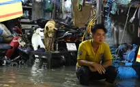 TP.HCM ngập nặng: 29.000 tỷ đồng đổ "xuống sông xuống biển"?