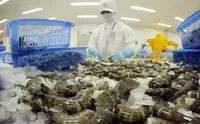 Australia nới lỏng lệnh cấm nhập khẩu tôm