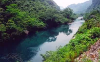 Du lịch vườn thực vật Phong Nha - Điểm mới hấp dẫn du khách
