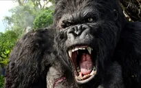 King Kong phần 2 được quay ở nhiều thắng cảnh tại Việt Nam