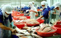 DOC lùi thời gian áp thuế chống bán phá giá cá tra Việt Nam