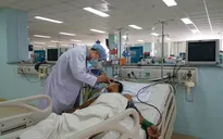 Vô tình ăn cá nóc, 5 người nhập viện