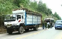 Xe khách đâm đuôi xe tải, 11 người bị thương