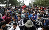 Hội nghị Thượng đỉnh châu Âu thảo luận về người tị nạn