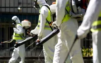 Việt Nam bắt tay vào cuộc chiến chống virus Zika