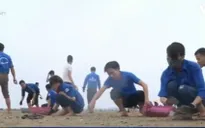 Thanh niên giúp đỡ người dân làm sạch bờ biển