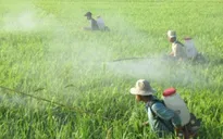 Việt Nam nhập hơn 140 triệu USD thuốc bảo vệ thực vật từ Trung Quốc