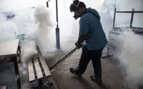 Myanmar ghi nhận ca nhiễm virus Zika đầu tiên