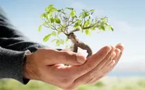 Chính phủ sẽ hỗ trợ hàng nghìn dự án khởi nghiệp