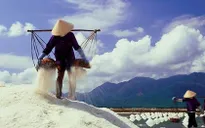 Chính phủ mua tạm trữ muối niên vụ 2016 có ý nghĩa lớn với diêm dân