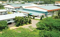 Giảm tiền thuê đất với các đối tượng bị ảnh hưởng bởi dịch COVID-19