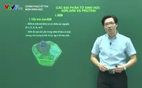 Chinh phục kỳ thi: Các đại phân tử sinh học