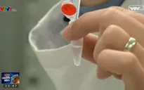 ADN có thể lưu trữ dữ liệu trong hàng nghìn năm