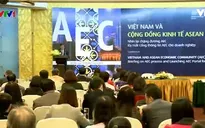 Việt Nam và Cộng đồng kinh tế ASEAN - Một năm nhìn lại