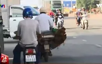 Đồng Nai: Có một khu phố, cả nghìn hộ dân đều đi... ngược chiều