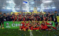 AFF Suzuki Cup 2014: ĐT Việt Nam dừng bước tại bán kết