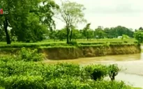 Ngành chè Ấn Độ điêu đứng vì sạt lở đất