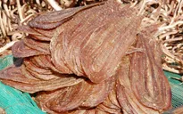 Khô rắn - đặc sản mùa nước nổi vùng ĐBSCL
