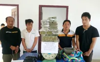 Triệt phá đường dây vận chuyển ma túy qua biên giới Việt - Lào