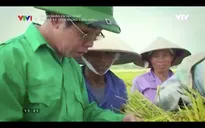Vị doanh nhân với niềm đam mê cháy bỏng dành cho cây lúa