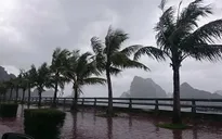 Bão số 8 suy yếu thành áp thấp nhiệt đới trong 12 đến 24 giờ tới