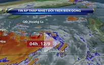 Ban Chỉ đạo phòng chống lụt bão Trung ương họp khẩn về áp thấp nhiệt đới
